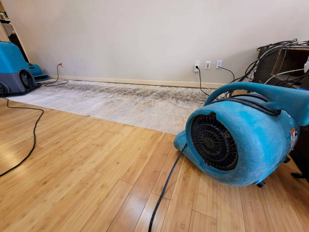 Professional Basement Flood Cleanup technician working in Matawan, NJ